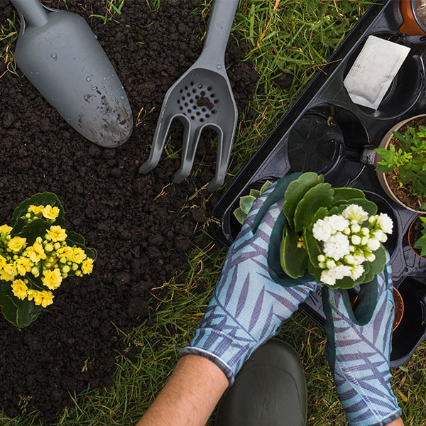 Gardening WordPress Theme 79 Gardening WordPress Theme 79
